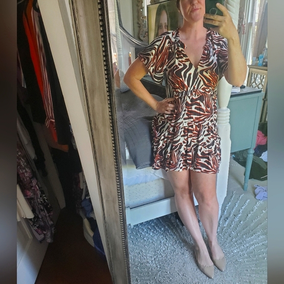Anthropologie Animal Print Dress - Picture 3 of 10